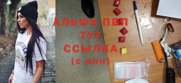 прущие грибы Бородино