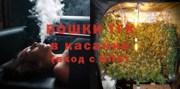 ГАЛЛЮЦИНОГЕННЫЕ ГРИБЫ Струнино