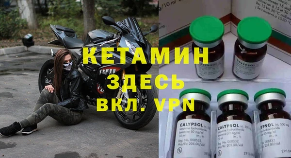 прущие грибы Бородино