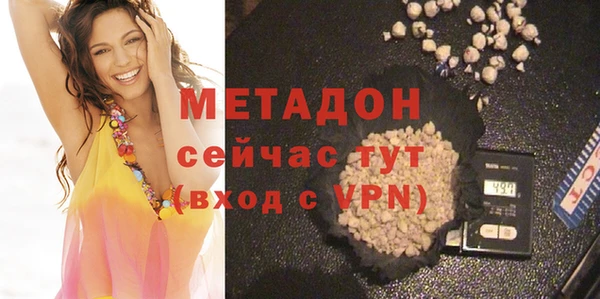 прущие грибы Бородино