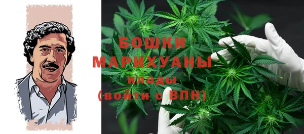 прущие грибы Бородино