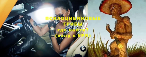 прущие грибы Бородино
