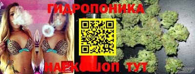 метадон Берёзовский