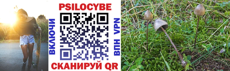 купить   Воркута  Галлюциногенные грибы мицелий 