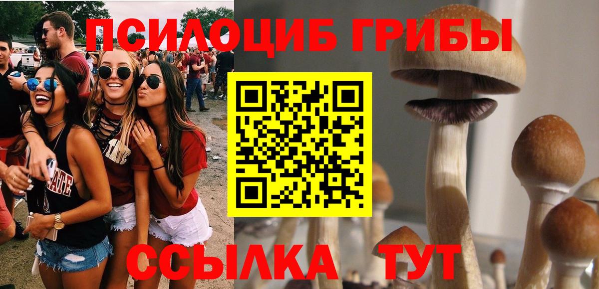 Псилоцибиновые грибы мухоморы  Галлюциногенные грибы Psilocybe  Воркута 