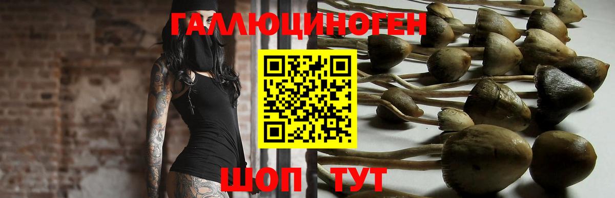 Псилоцибиновые грибы мицелий Воркута